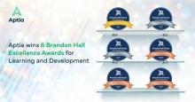 Brandon-Hall-Excellence-Awards